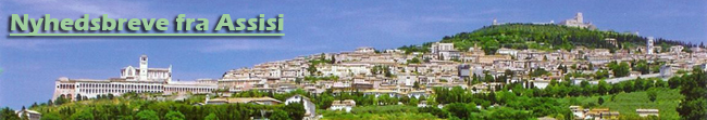 banner_nyhedsbrev_dk